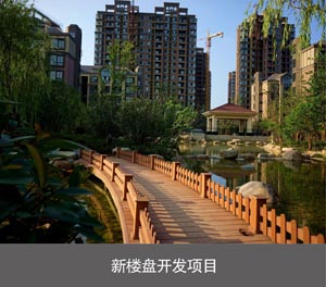 兩柱簡易升降類機(jī)械立體停車設(shè)備新樓盤開發(fā)項(xiàng)目